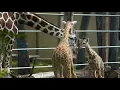 Topeka Tourism Commercial