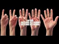 Sağ Elimde Beş 5 Parmak Sol Elimde Beş Parmak 🖐️✋Say Bak Çocuk Şarkıları Tekerleme Nursery Songs