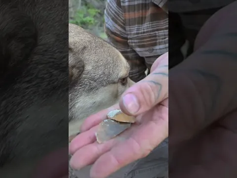 Ancient Trash Transformed Into Modern Treasure