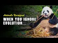 Why Pandas Are So Bad at Surviving