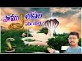 Download Lagu What is under this Big Snake statue | Nampally Gutta | Telangana Tourism