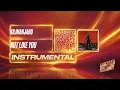 Kilimanjaro, Dyo - Not Like You (Instrumental)
