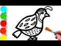 coloring for coloring