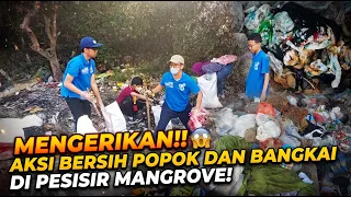 Bukannya Ikan, Kami Malah Nemu ini di Pesisir Mangrove