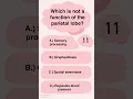 Download Lagu Brain Quiz Oct '24 | #shorts #science #biology #neuroscience #biologyquiz #quiz #trivia #brain