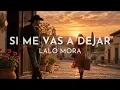 Lalo Mora - Si Me Vas A Dejar (Visualizer)