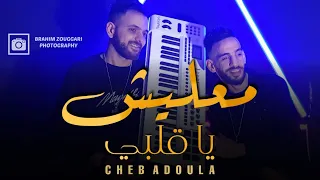                                                                                دندنها