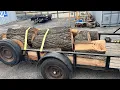 Free Hickory from Facebook Marketplace Cutting Wood Happy Place