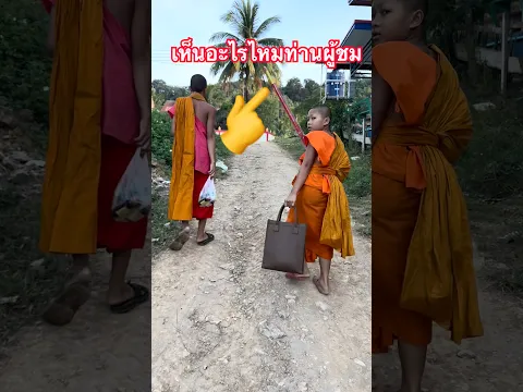 คืออะไรเณร