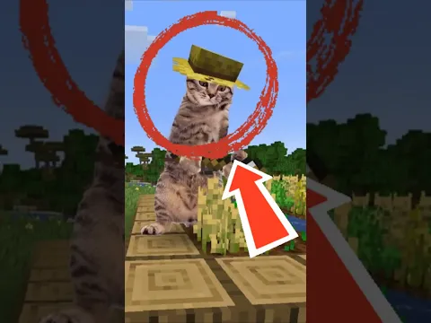 QUANTO VALE O INVENTÁRIO DO MINECRAFT NA VIDA REAL