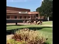 Naruto Running Vine