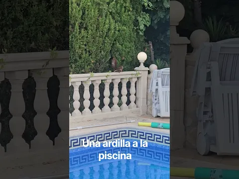 2 de septiembre de 2026