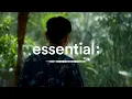 [Playlist] 초록이 짙어지는 계절, 너와 함께 | 산뜻하고 부드러운 일상 BGM with Crush | afternoon cafe vibe