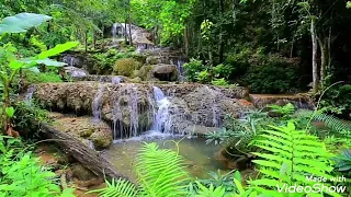 اللهم ارزقنا الشفاعة اللهم حببنا في صلاة الجماعة دندنها
