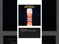 1 Line Pure CSS Reflection Effect