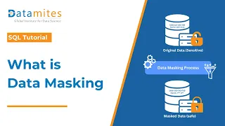 Data Masking Tutorial for Beginners Protect Sensitive Data Datamites