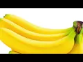 BANANAS Nala bunny s favorite treat