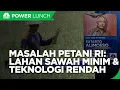 Download Lagu Masalah Petani RI, Lahan Sawah Berkurang \u0026 Teknologi Pertanian Rendah