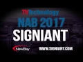 Cloud-Native File Acceleration Solutions Offer More