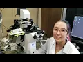 Yale Pathways 2020 - Sensory Physiology