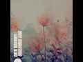 Unclouded Soul - Greg Maroney