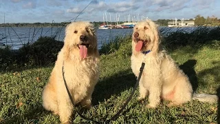 Meet The Boat!  – S1:E02