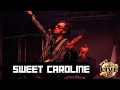 Lagu Neil Diamond 'Sweet Caroline' Live Band Rendition | Sing It Live Concert
