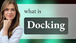 Unlocking the Meaning of Docking A Comprehensive Guide