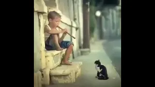 الاغنيه التي ابكت الملاين طفل يعزفها 