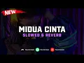 DJ Midua Cinta ( Slowed \u0026 Reverb ) 🎧