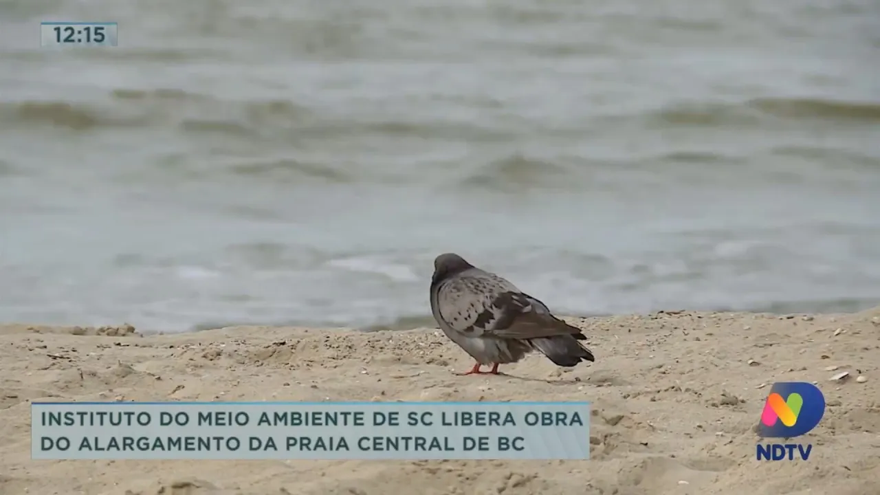 Instituto do Meio Ambiente de SC libera obra do alargamento da praia central de Balneário Camboriú