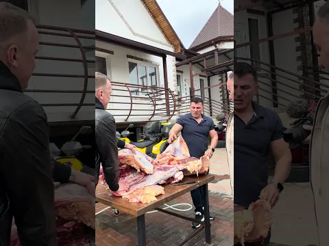 we cut the ostrich