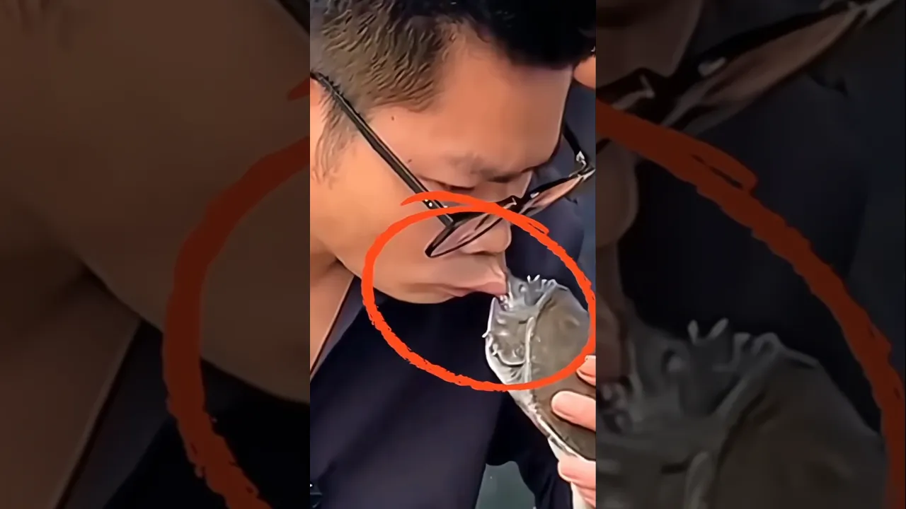 Turtle Bite 🐢😰
