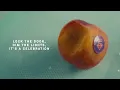 Carly Rae Jepsen - After All (Official Lyric Video)