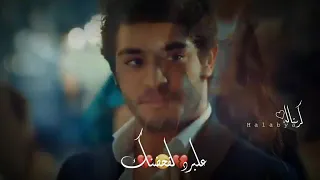 أنا راضيه اكون فراشه وقتلها حب النور ولا إنى أعيش قلبى مقهور 
