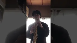 G 1ファンファーレをソプラノサックスで吹いてみました 僕の推しは 昔からずっとハリボテエレジー サックス サクソフォン サックス Selmer 桜花賞 G1 ファンファーレ 競馬 