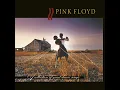 Shine On You Crazy Diamond - Pink Floyd