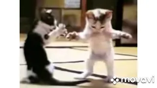 اغنيه يأرب ياربنا يكبر ويبقى أدنا لا تنسوا الاشتراك في القناه 