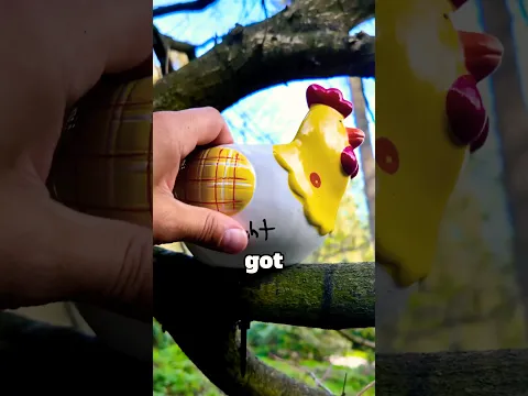What came first… the chicken or the egg? 🐣 Let’s find out!