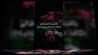 من اجمل النغمات يا نور النبي صلى الله عليه وسلم      دندنها