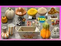 Download Lagu TEDI **VORFREUDE AUF DEN HERBST**2025