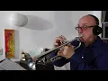Brian Lynch Virtual Artist Ensemble - Further Arrivals