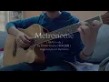 Metronome (メトロノーム) - Kenshi Yonezu (米津玄師) - Fingerstyle Arranged by Dannn