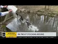 Pennsylvania begins trout stocking