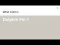 Dolphin Fin color hex color - Grey color