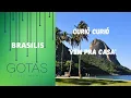 CURIÓ CURIÓ - Vem Pra Casa 