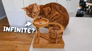 The Cat Toy That Never Ends...