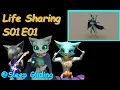 Another 30th Birt ay Memes recap - Cat Wizard Animated shorts