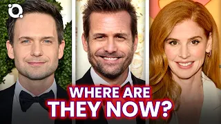 suits cast 2024 find out where they are now ossa
