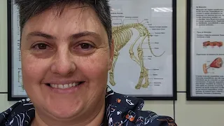 VERMÍFUGO PARA CÃES E GATOS